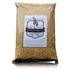 Barley Seeds 🔥 Bulk 5-10 # Sprouting-Juicing-Malt-Brewing-Beer Making NONGMO picture