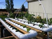 Click image for larger version

Name:	hydroponics 004.jpg
Views:	1922
Size:	97.5 KB
ID:	2479