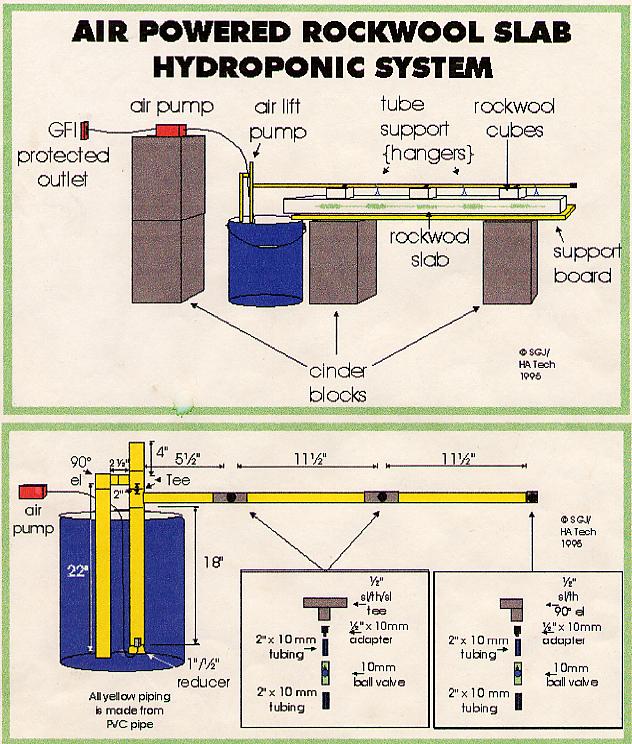 ... are Reading About "Aquaponic Dutch Bucket" | DIY AQUAPONIC TUTORIAL