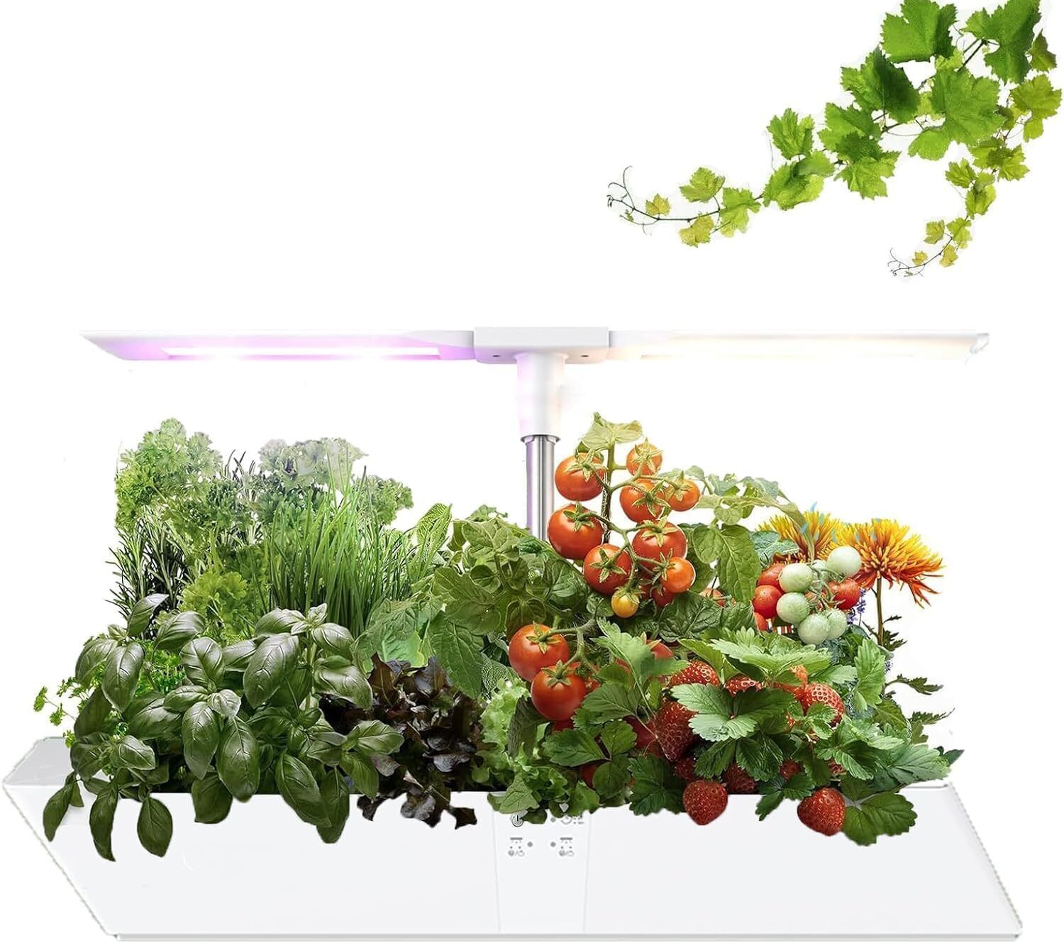 Hydroponics Growing System Indoor Garden Kit 12Pods Indoor Herb Garden New US