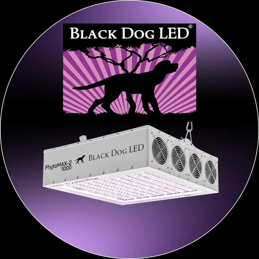 Black Dog LED Grow Lights Phytomax-2 1000 w/ FREE Ratchet Light Hangers&Shipping