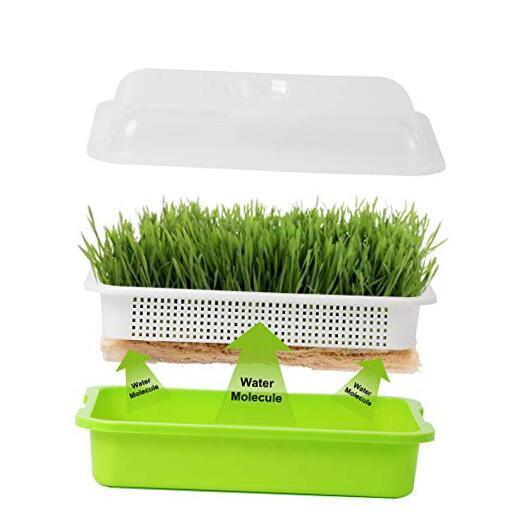  4 Sets Seed Sprouter Tray with Lid, Seed Germination Tray, Nursery Tray for 