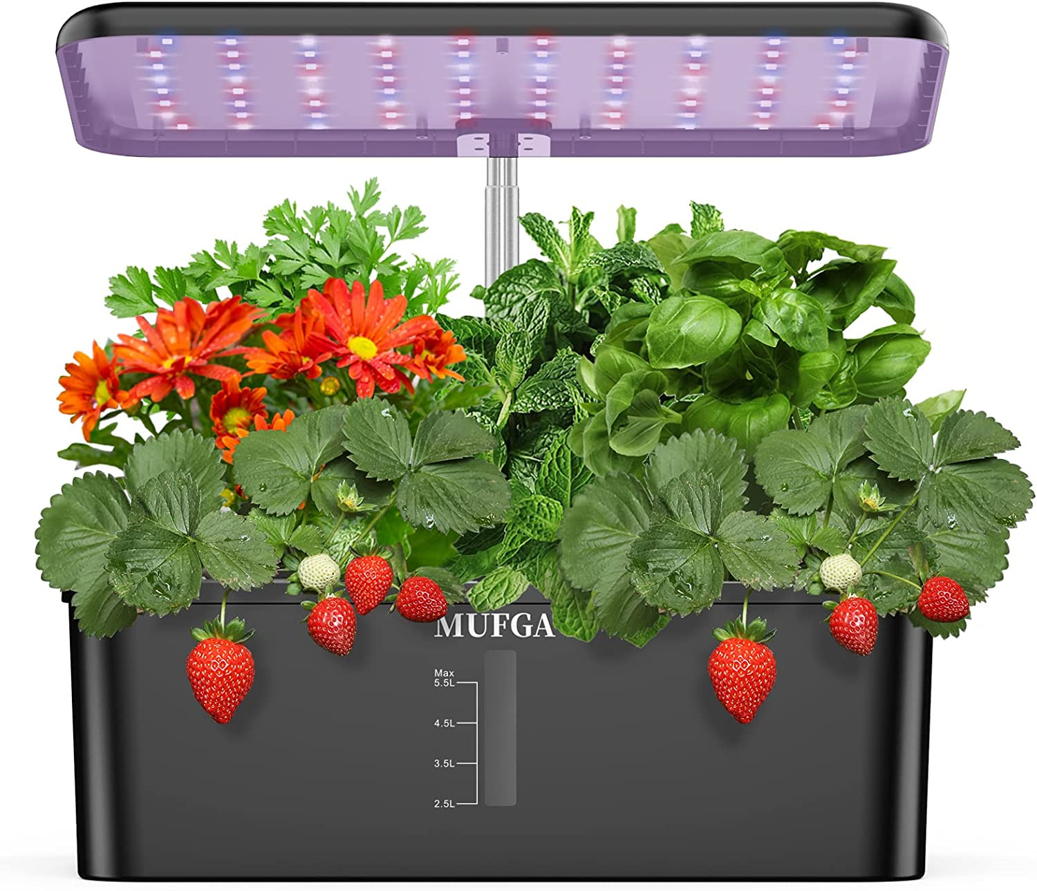 Hydroponics Growing Set Indoor Gardening System with LED Grow Light and Pump