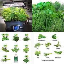 aerogarden 9-pod gourmet herb seed kit | germination gardening miracle plant gro picture