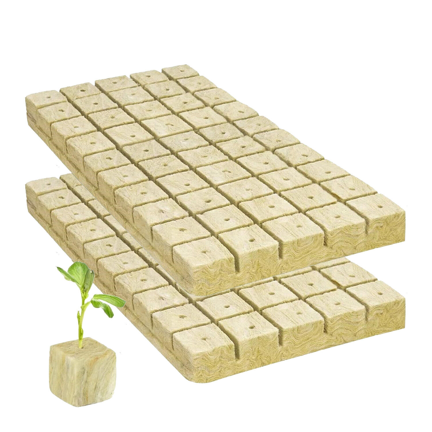 Rockwool Cubes 100 Plugs Stonewool Seed Starter Grow Cubes for Cuttings Cloning