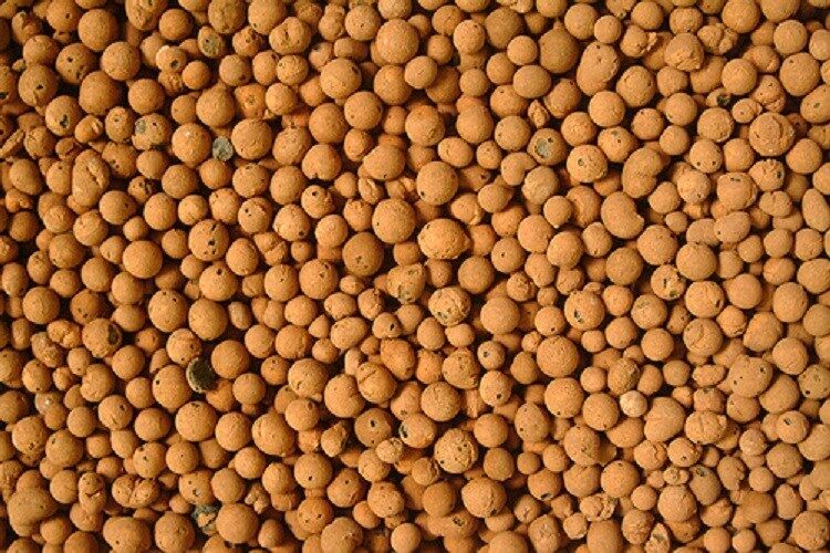 4 LIters Plant T Clay Pebbles Rocks Grow Media Expanded Clay Rocks SAVE $$