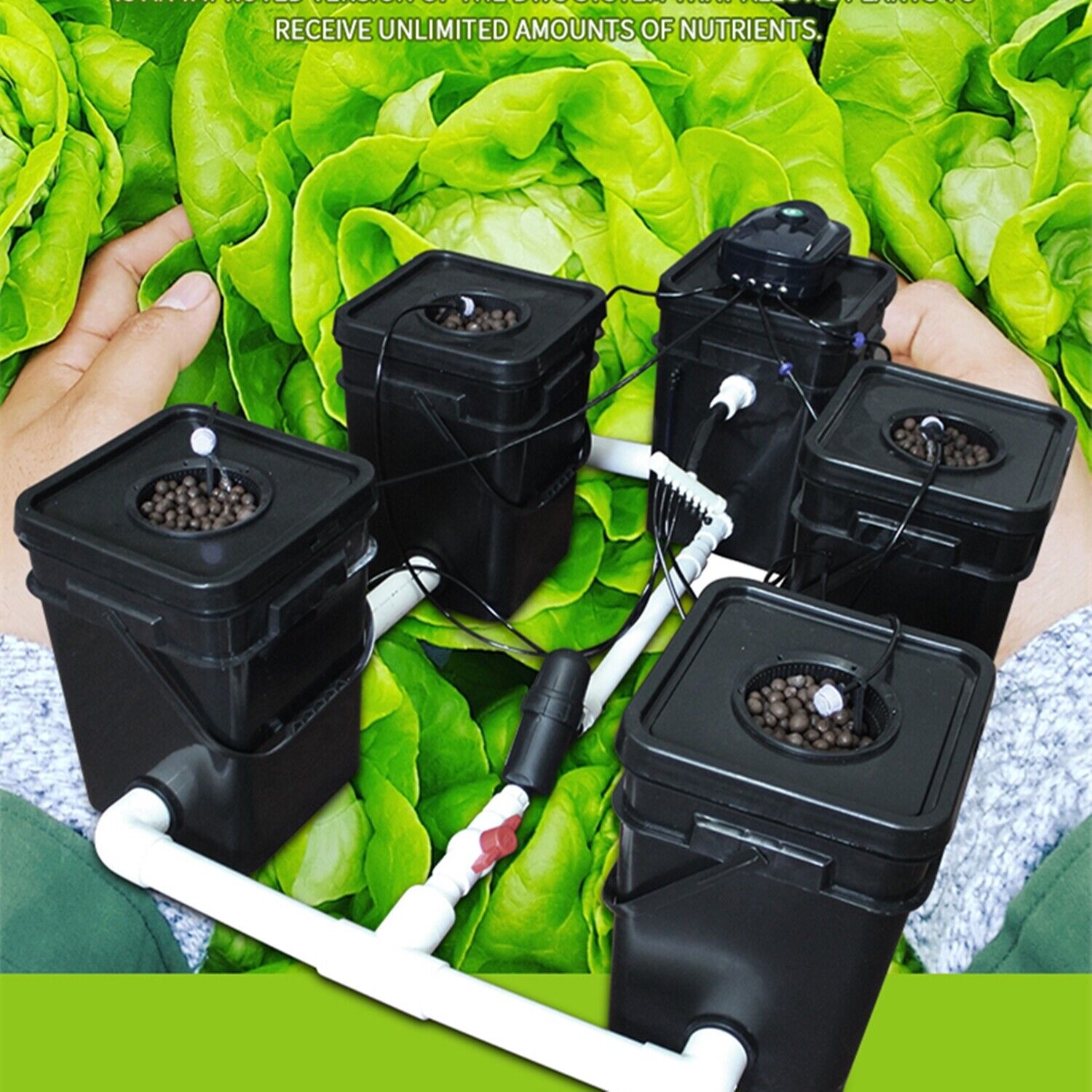 RDWC 4 Hydroponic Growing Kit Recirculating Deep Water Culture Automated System