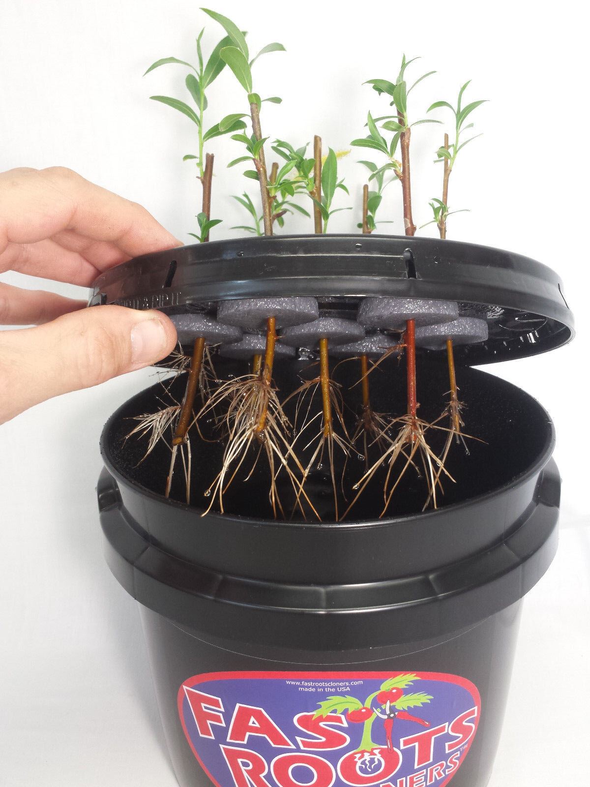 7 Site Indoor Plant Cloning System - Root Growing Air Bubbler Hydroponics Kit