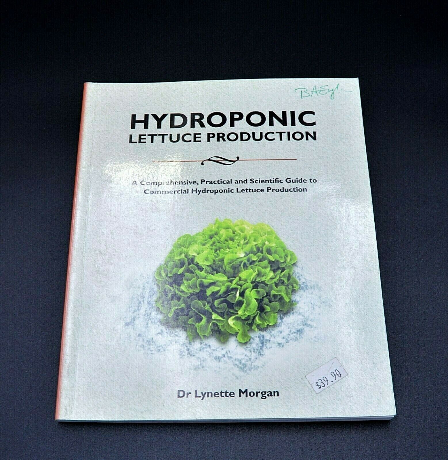 HYDROPONIC LETTUCE PRODUCTION By Lynette Morgan FAST Shipping