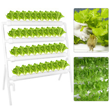Hydroponic 36 Sites Grow Kit Plant Growing System for Leafy Vegetables 4 Layers picture