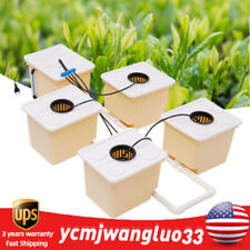 Hydroponic System buckets Drip Growing System Hydroponics Deep Water Culture DWC picture