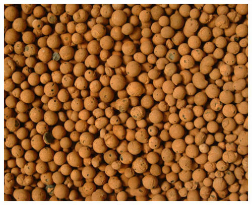 HYDROTON Clay Pebbles Growing Media Expanded Clay Rocks for Hydroponic systems