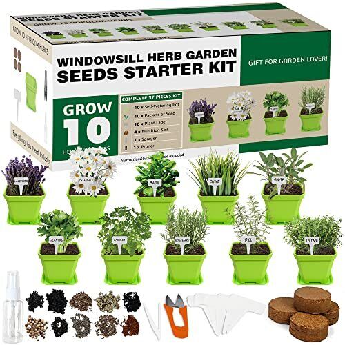 10 Herb Seeds Garden Starter Grow Kit  Indoor Potted Plant Set for Kitchen