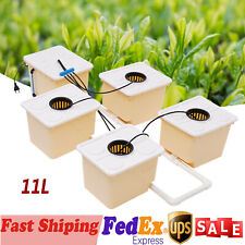 Hydroponics Deep Water Culture DWC Hydroponic System buckets Drip Growing System picture