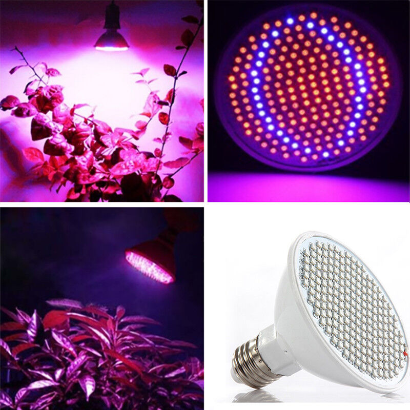 30W 200-LED Plant Grow Light E27 Red+Blue Hydroponic Flower Veg Growing Lamps