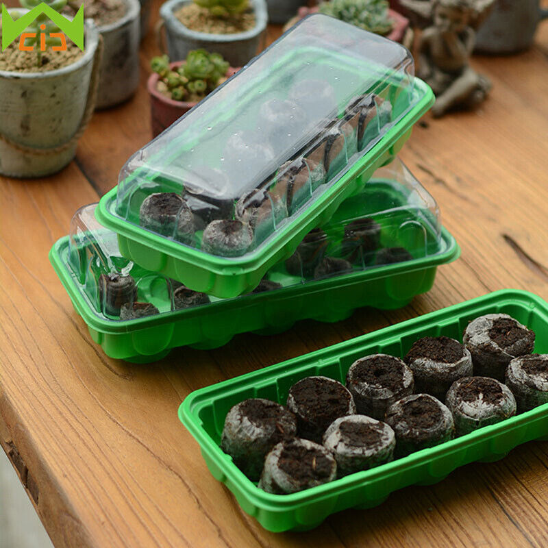 10 Holes Seedling Box Seeds Starter Tray Nursery Pots Growing Case Gardening CW