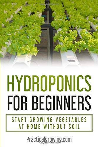 Hydroponics for Beginners: Start Growing Vegetables at Home Without Soil - GOOD