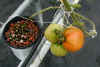 tomato-close-up1.jpg (17671 bytes)