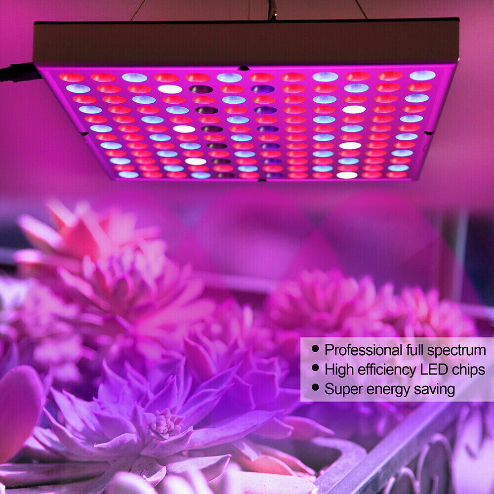 144 LED Indoor Plant Grow Light Full Spectrum Hydroponic Veg Flower Lamp Panel
