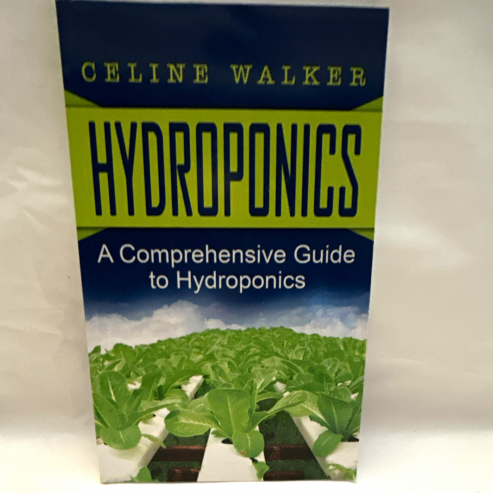 Hydroponics: A Comprehensive Guide to Hydroponics by Celine Walker (Paperback)