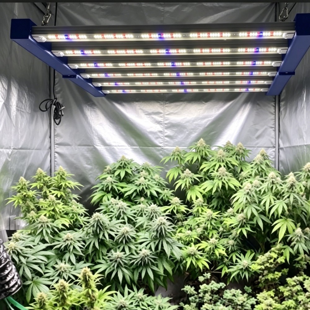 4000W Spider LED Grow Light 350W 4×4FT Commercial Bar Full Spectrum Growing Lamp