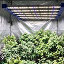 4000W Spider LED Grow Light 350W 4×4FT Commercial Bar Full Spectrum Growing Lamp picture