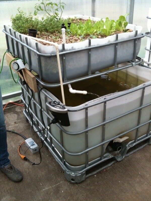 Large Aquaponic System w/ 200 gallon tank. 48x40 grow bed for organic gardening