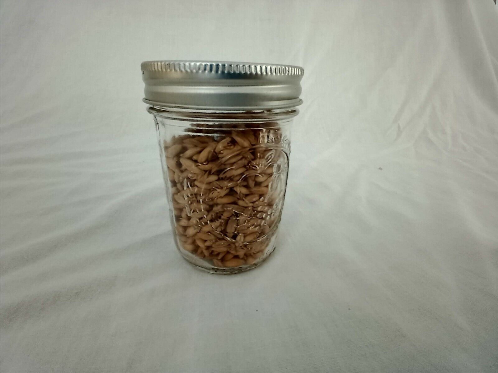 1/2 PINT Mushroom Jars READY  Sterilized Substrate Grain Grow Fast SHIP [C]