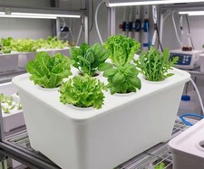 A Complete Hydroponic Vegetable Growing Kit | Soil-Free Self-Circulating System. picture