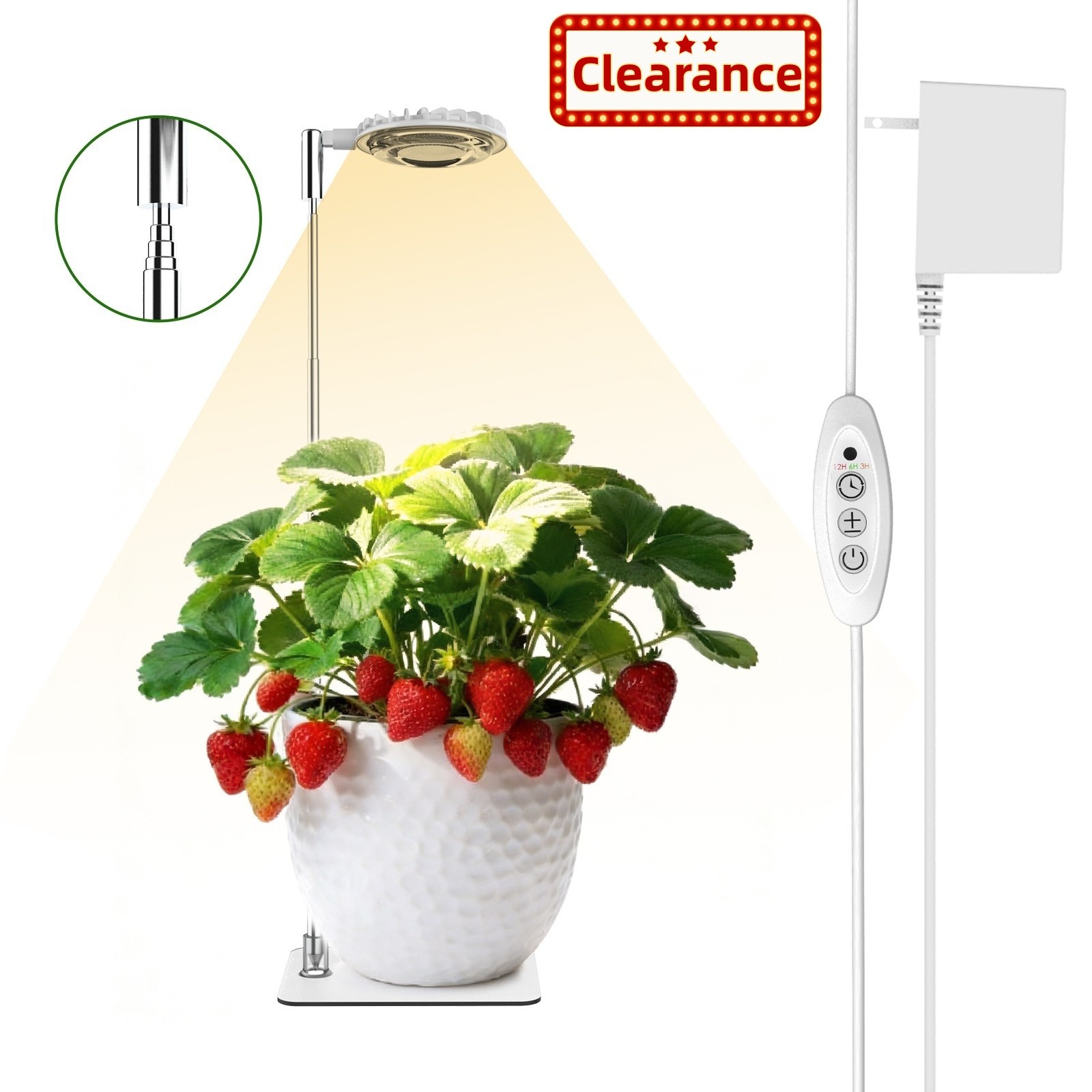 12W Grow Light for Indoor Plants Seeds Succulent Desktop Pot Plant Light Timer