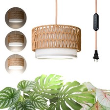 Bstrip Dimmable Hanging Grow Light for Indoor Plants picture