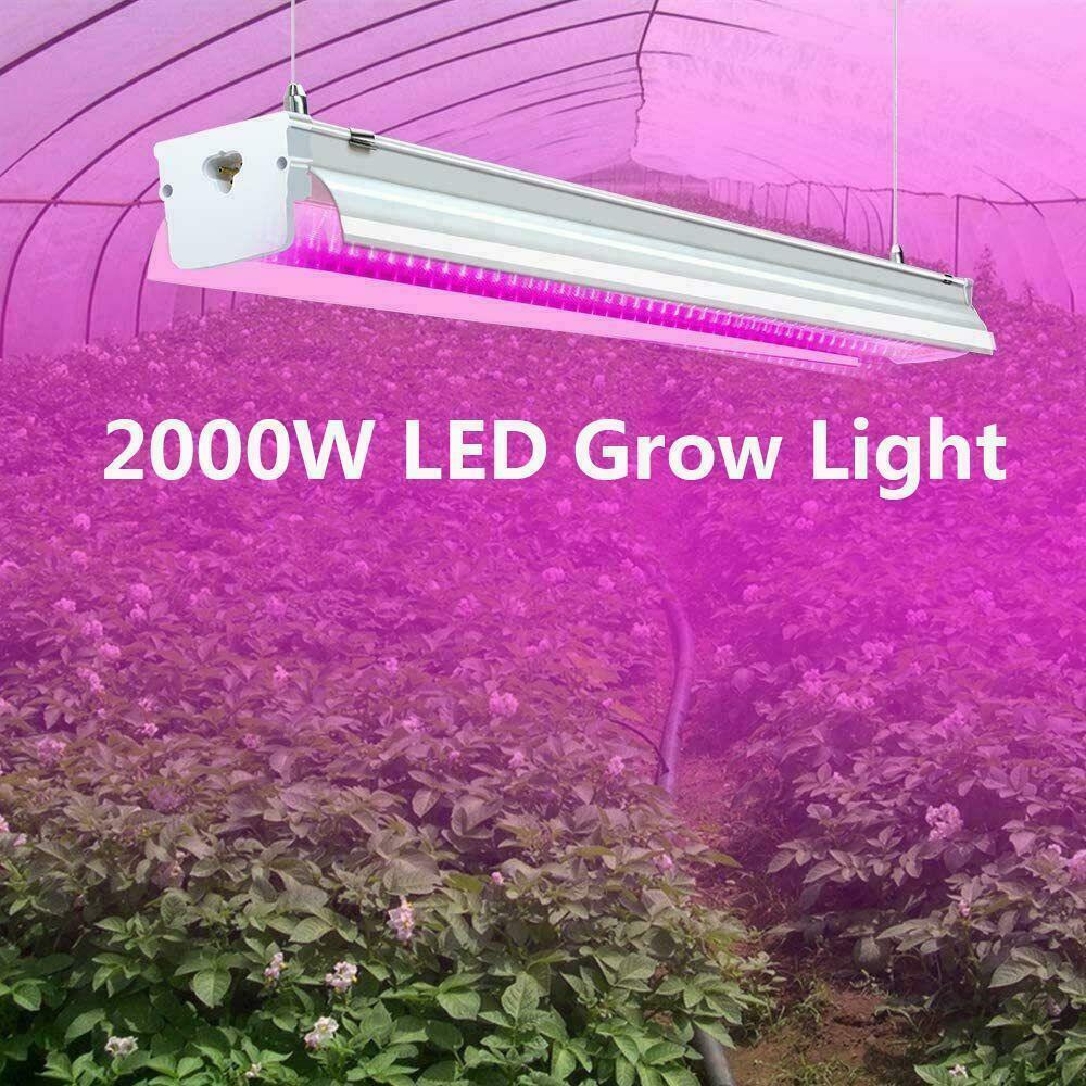 2000W-6000W LED Grow Light Full Spectrum Hydroponic Veg Flower Plant Lamp Tube