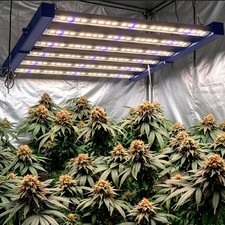 Commercial Grade 4000W Spider LED Full Spectrum Grow Light High Yield Plant Lamp picture