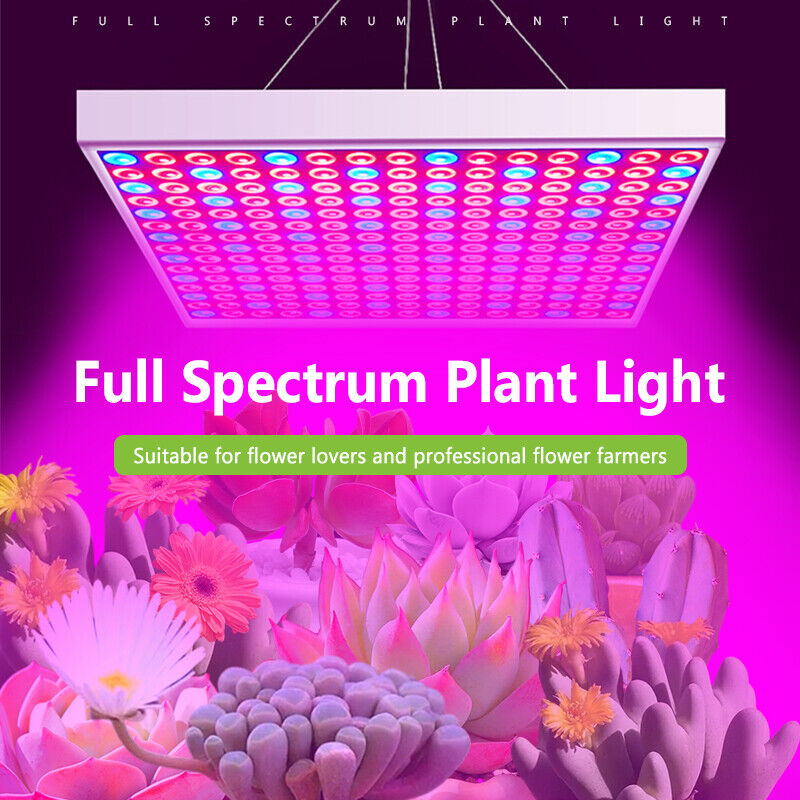 8000W LED Full Spectrum Plant UV Grow Light Veg Lamp For Indoor Hydroponic Plant