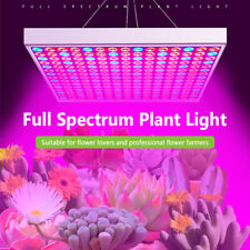 8000W LED Full Spectrum Plant UV Grow Light Veg Lamp For Indoor Hydroponic Plant picture