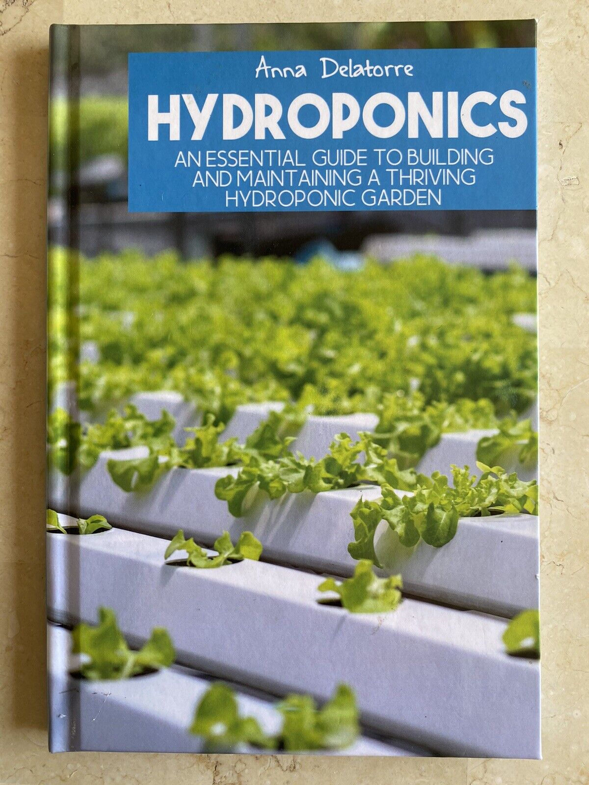 Hydroponics: An Essential Guide