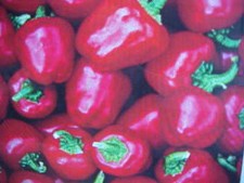 INDOOR OUTDOOR HANGING BASKET MINI RED BELL PEPPER   10 SEEDS picture