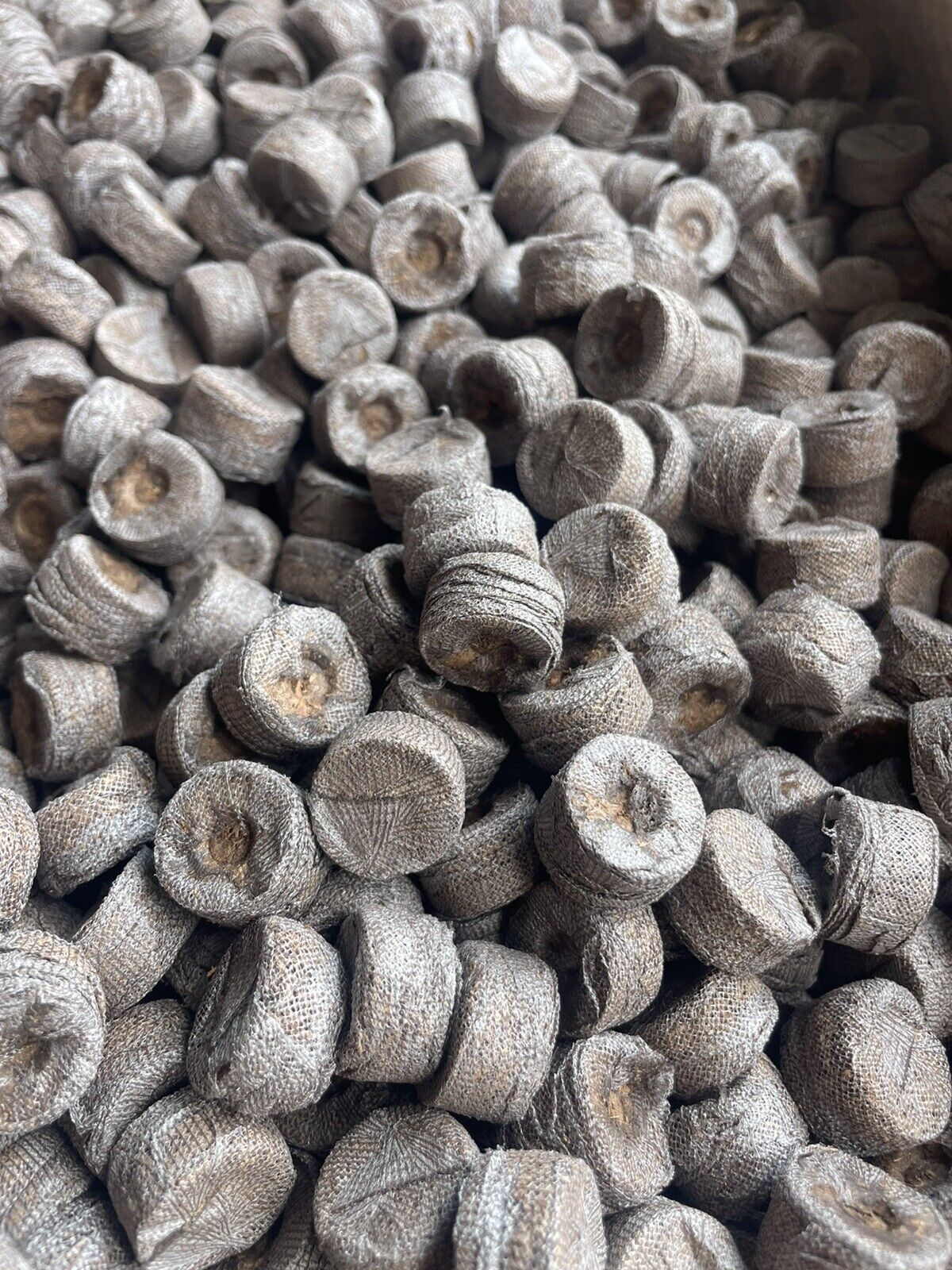 Jiffy Peat Pellets 18mm, 10,25,50,100,200,300,500,1000, Seed Starting, Fast Ship
