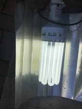 125W CFL Grow Light Reflector Fixture, Metal Silver, 120V, 180° Beam lamp includ picture