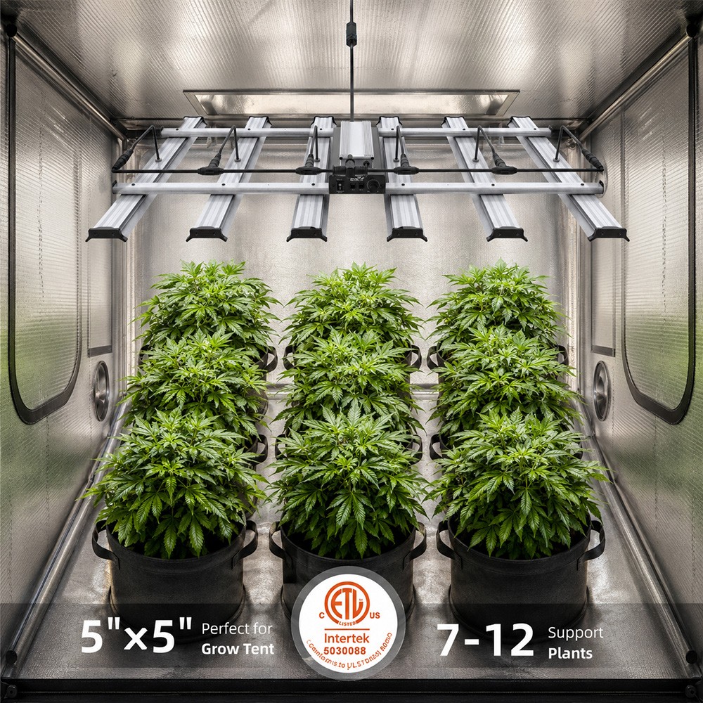 Grow Lights 5000W Dimmable Full Spectrum LED Commercial Lamp for Hydroponics CO2