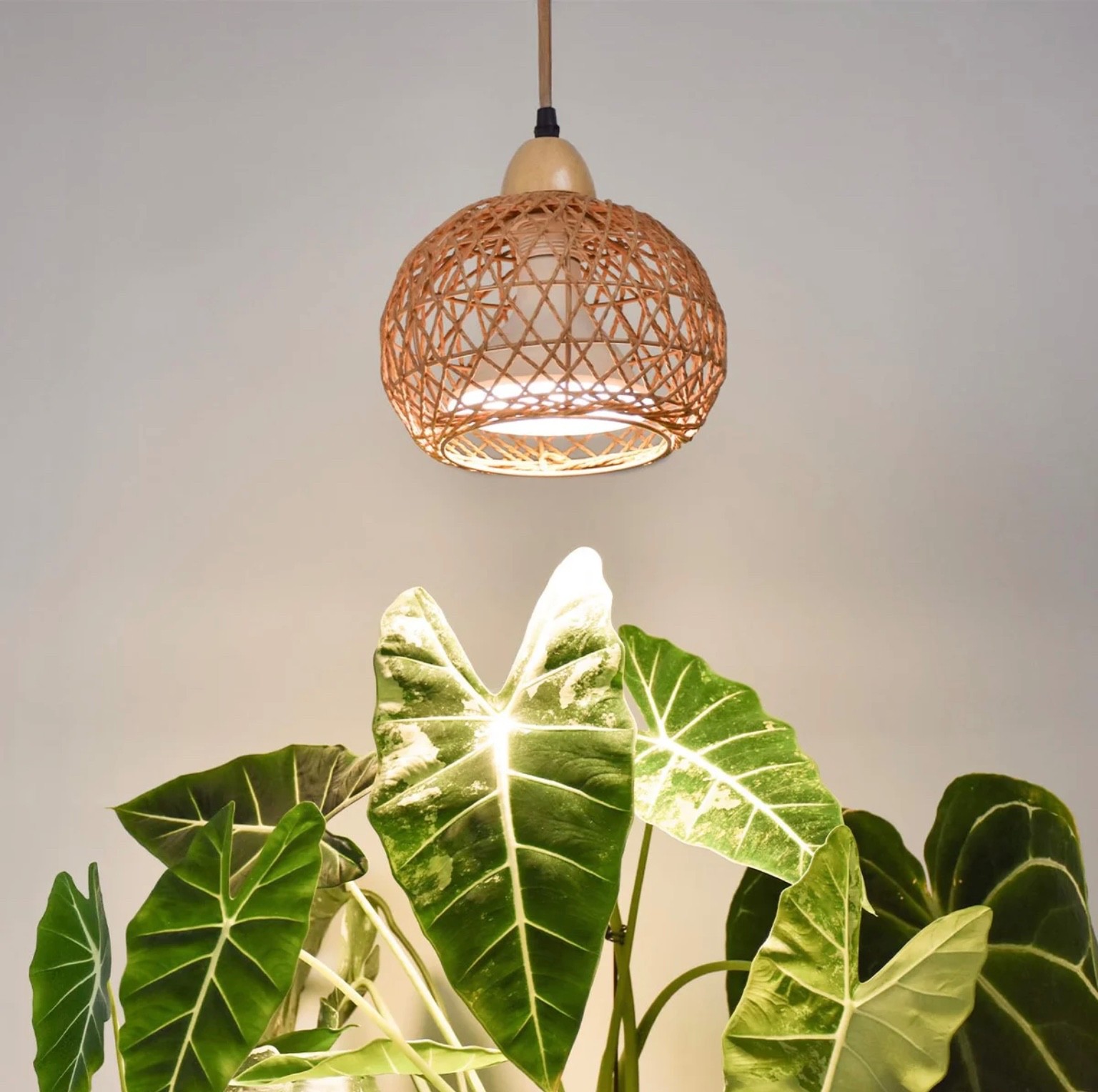 Bstrip Hanging Grow Lights for Indoor Plants, 18W Full Spectrum, Boho Rattan Bstrip Hanging Grow Lights for Indoor Plants, 18W Full Spectrum, Boho Rattan