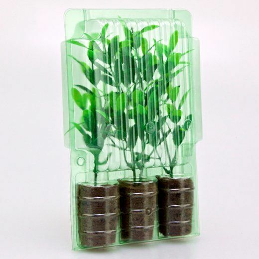 Clone Shipper 3 Plant cell +100 Hr LEDs Rockwool Plugs Propagation Germination