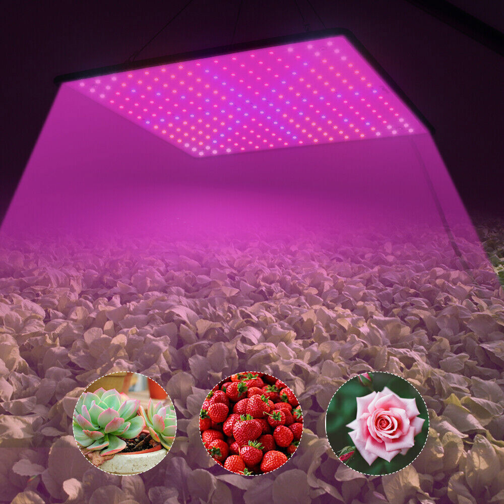 8500W LED Grow Light Panel Full Spectrum Lamp for Indoor Plant Veg Flower