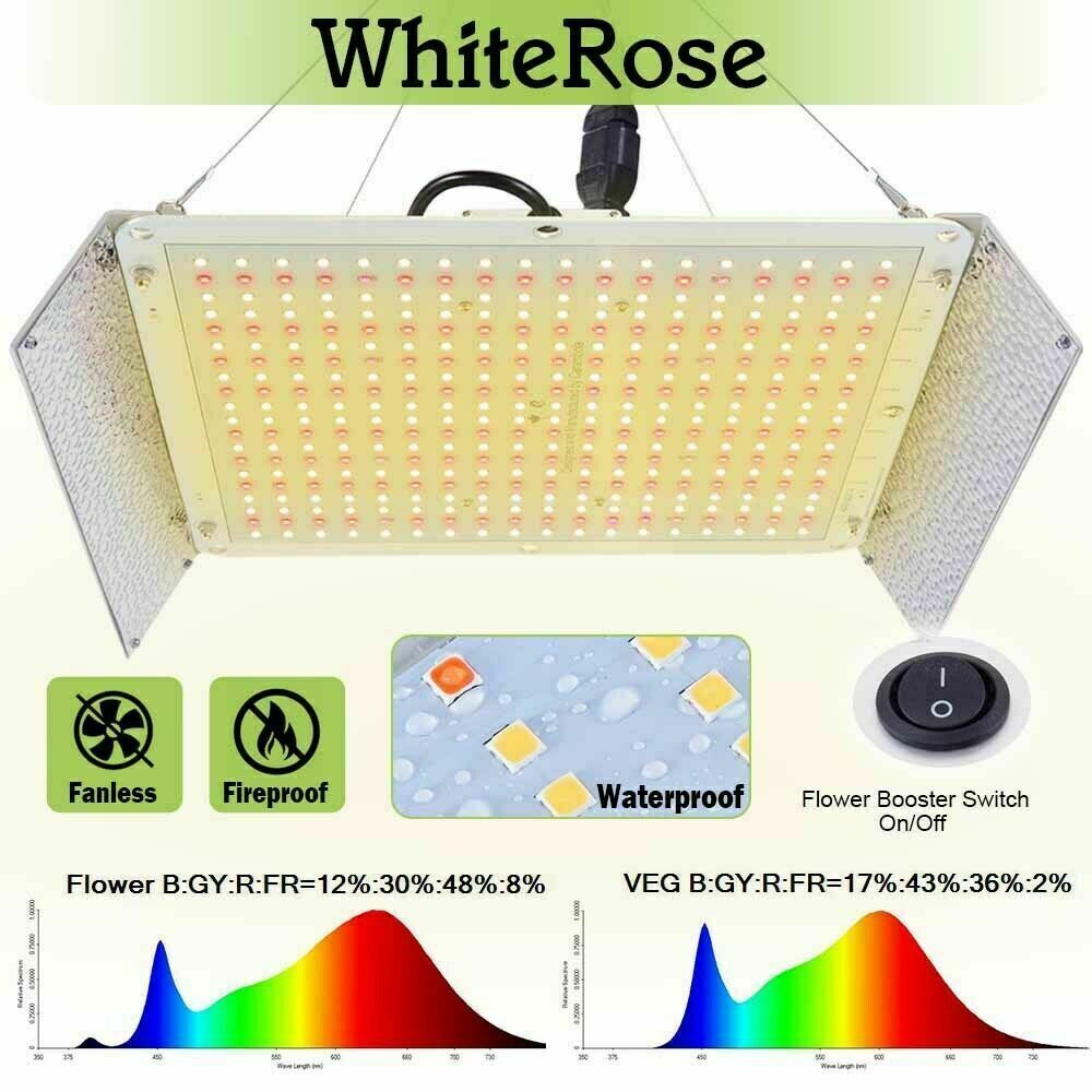 WhiteRose 2000W 4000W 6000W LED Grow Light Full Spectrum For Plants Veg Flower