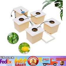 Hydroponics Deep Water Culture DWC Hydroponic System buckets Drip Growing System picture