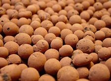 4 LBS HYDROTON Clay Pebbles Hydroponic Expanded Rocks  picture