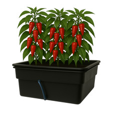ECHO Cultivation  Hydroponic grow system complete Flood Table (ebb and flow). picture