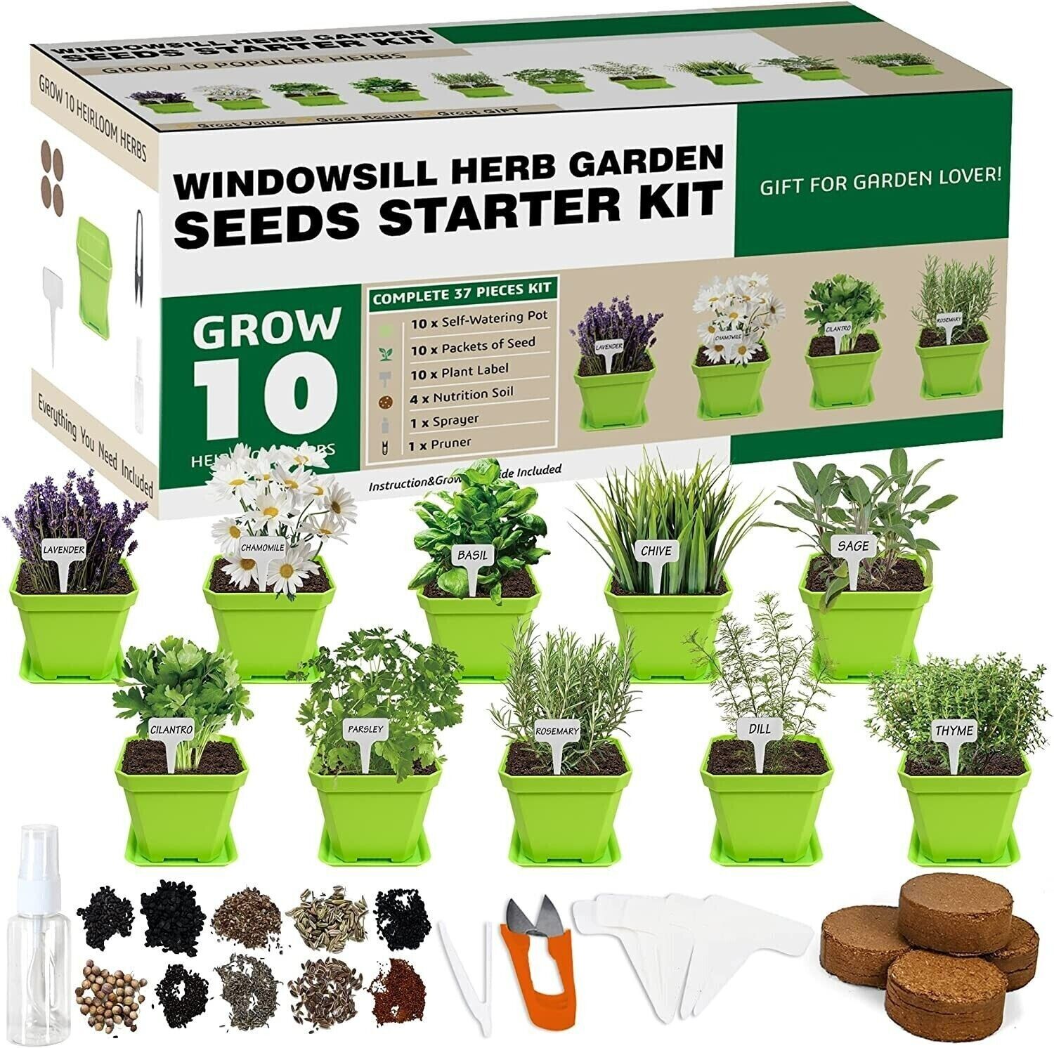 Indoor Herb Grow Kit, 10 Herb Seeds Garden Starter Kit,Green Pots, Markers, DIY