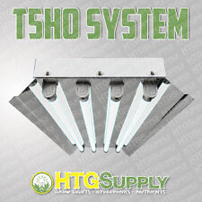 T5 HO FLUORESCENT 24 2' 2ft 4 LAMP GROW LIGHT BULBS NEW picture