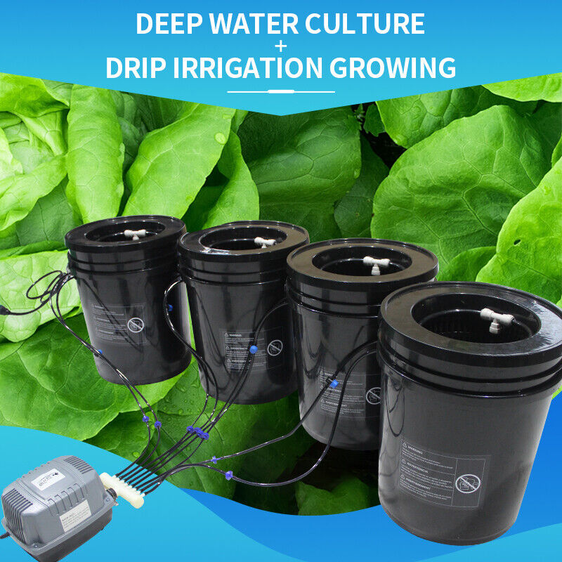 DWC Hydroponics Grow System Recirculating Drip Garden System Deep Water Culture